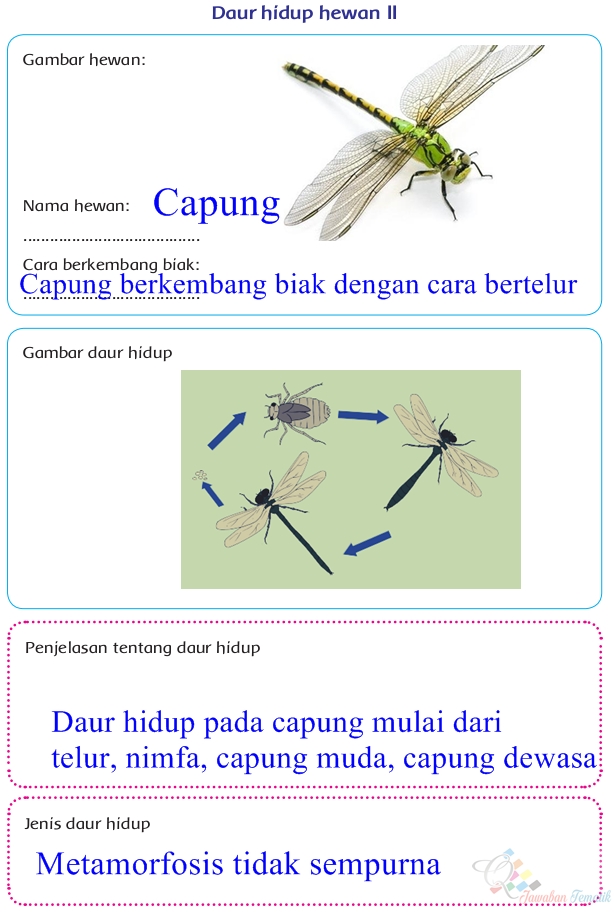 Kunci jawaban tema 4 kelas 6 halaman 63 yang tabel