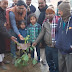 जल जीवन हरियाली को गति देने के लिए मुरलीगंज में वृक्षारोपण कार्यक्रम 