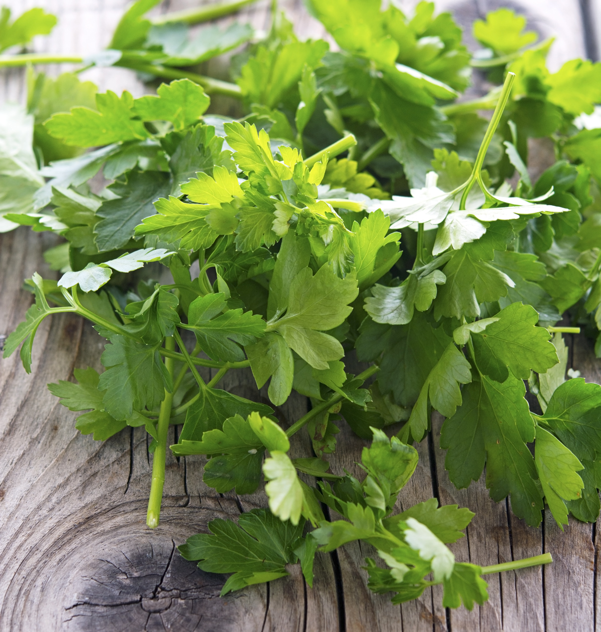 The Iron You 10 Minute Magic Italian Salsa Verde