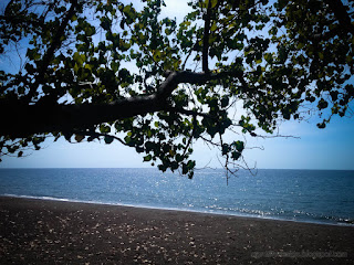 Beach View With Shade Tree And Dried Leaves On The Beach Sand On A Sunny Day At Umeanyar Village North Bali Indonesia