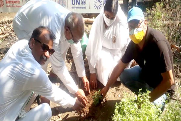 पटना खाजपुरा - पर्यावरण दिवस पर ब्रह्माकुमारी द्वारा बिहार पशु विज्ञान विश्वविद्यालय में पौधा रोपण