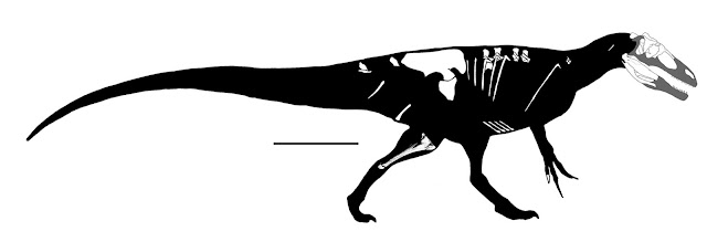 Paleosur: New Megaraptoran Dinosaur (Dinosauria, Theropoda ...