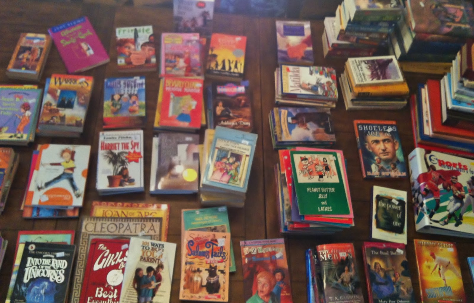 A Booklist Grows in Westchester Ella's Book Blog Annual BrynMawr