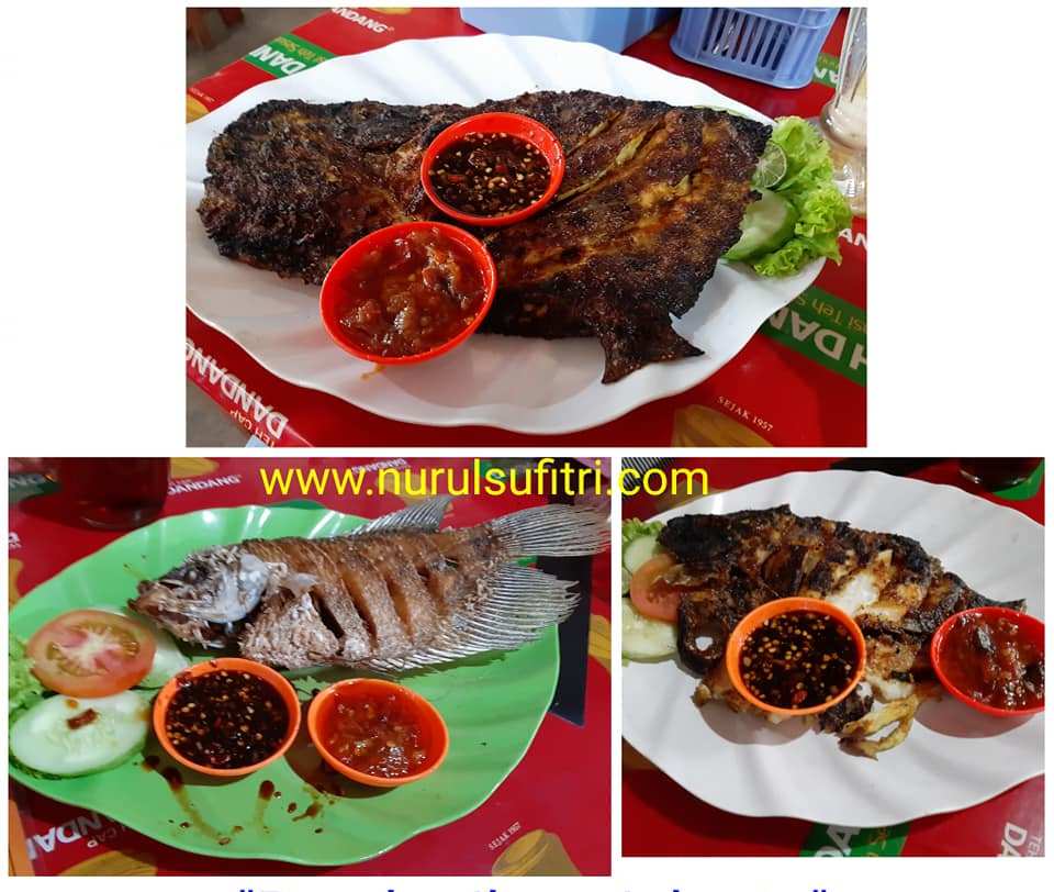 Bandar Ikan Jakarta Restoran Seafood Lezat dan Murah di Bogor Nurul Sufitri Travel Lifestyle Culinary Blog Review