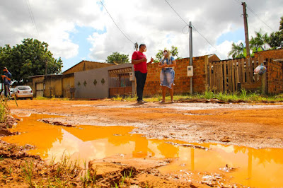 Márcia Socorristas Animais cobra providência para o bairro Três Marias