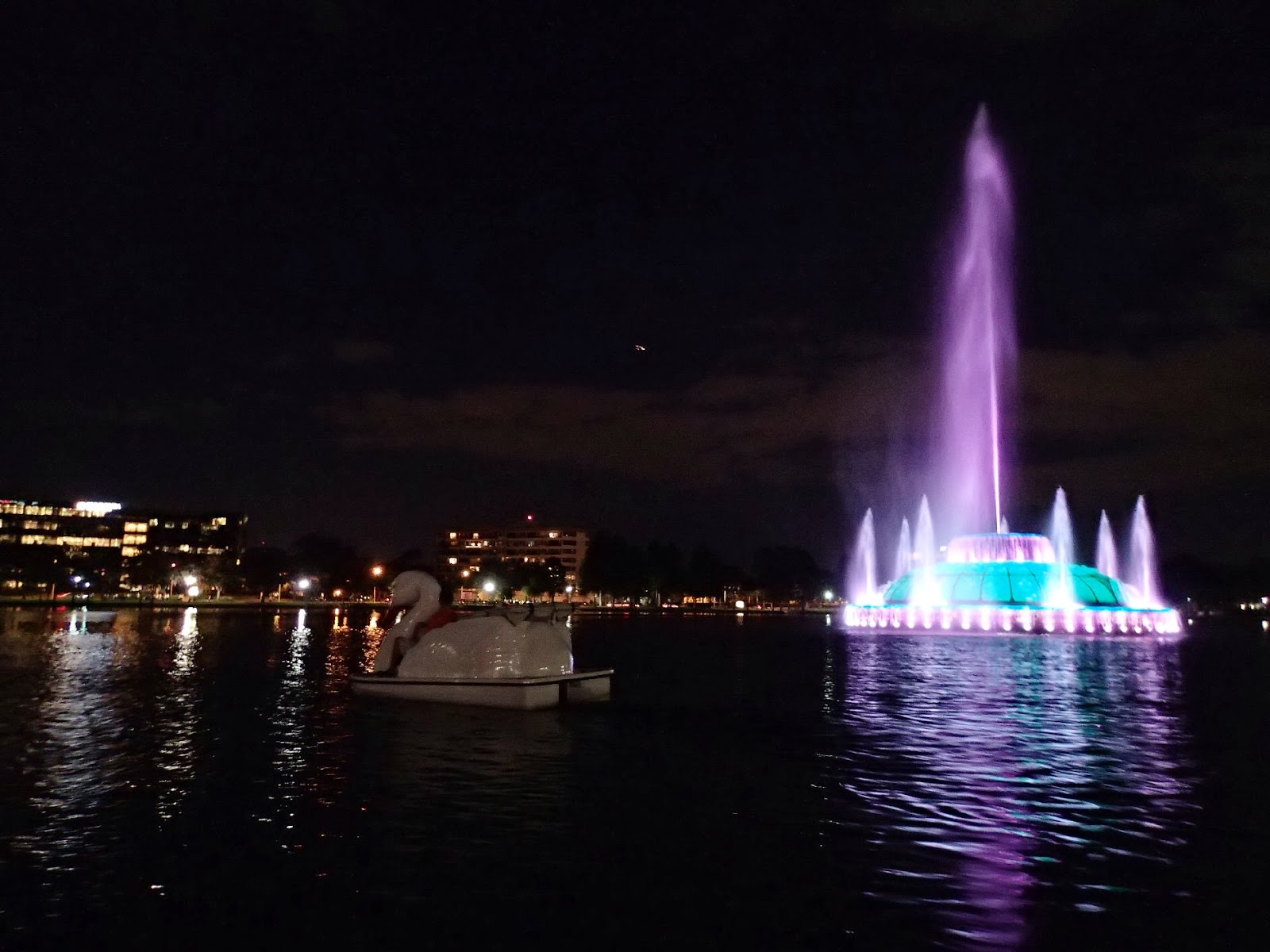 PenobscotPaddles Swan boats on Lake Eola, Orlando