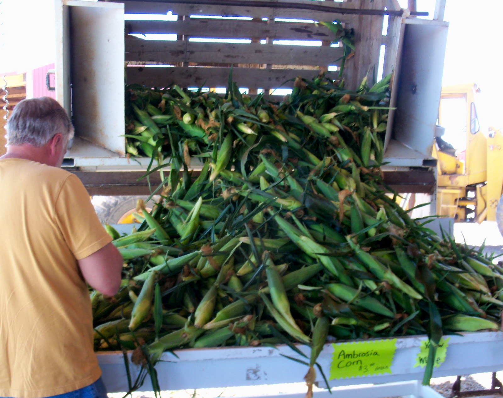 In "Lou" of Life Purdum's Produce Stand
