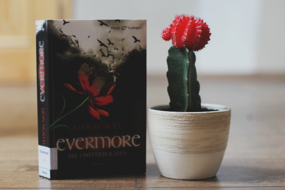 Die Unsterblichen Serie