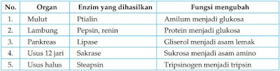 Contoh Soal Biologi Sistem Pencernaan (Kelas 11) | Kumpulan Soal