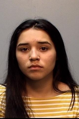 Brownsville Police Department Inmate List