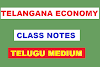 TELANGANA ECONOMY CLASS NOTES IN TELUGU MEDIUM PDF