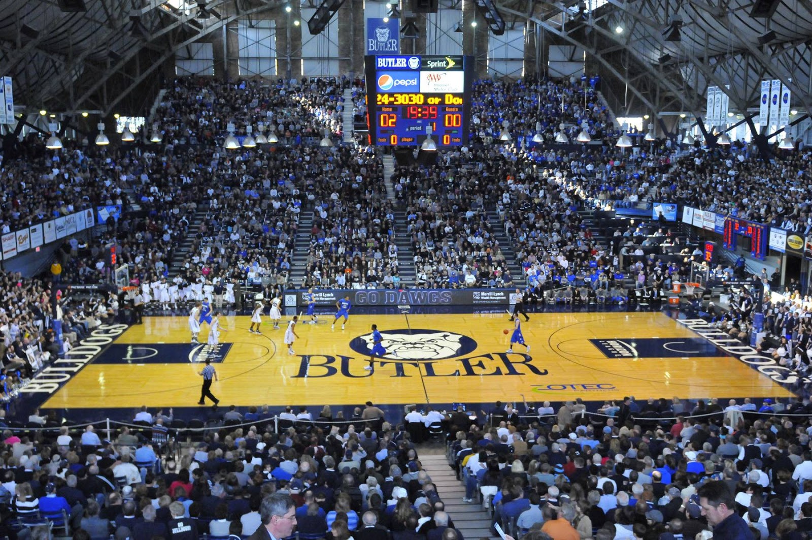 The Nest Architecture Top 10 Basketball Arenas