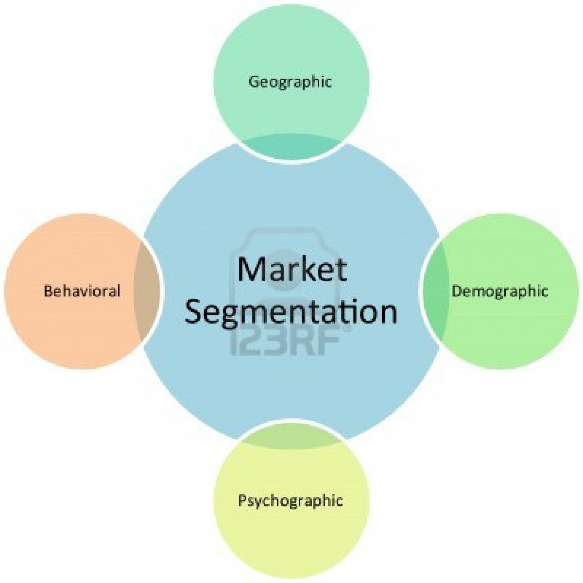Marchantia Pertemuan Ke4 (Segmentasi Pasar dan Targeting Pasar)