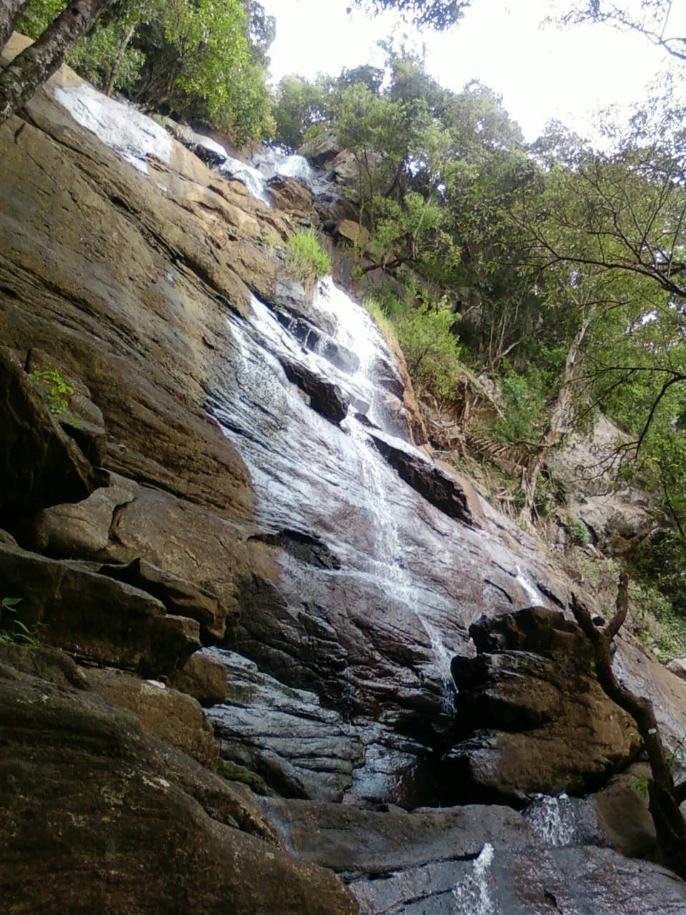 Kiliyur Falls Yercaud Salem