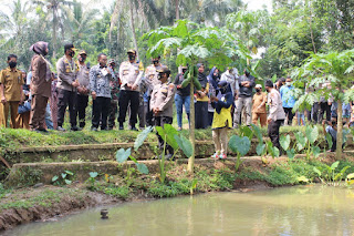 Tingkatkan Ketahanan Pangan Dan Cegah Covid-19, Kapolda Banten Kunjungi Kampung Tangguh di Pandeglang 1 IMG 20200804 WA0124