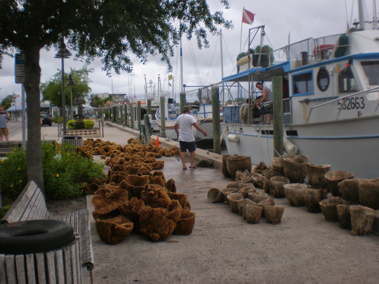 Meant To Be 4 Us DUNEDIN, TARPON SPRINGS & CLEARWATER BEACH