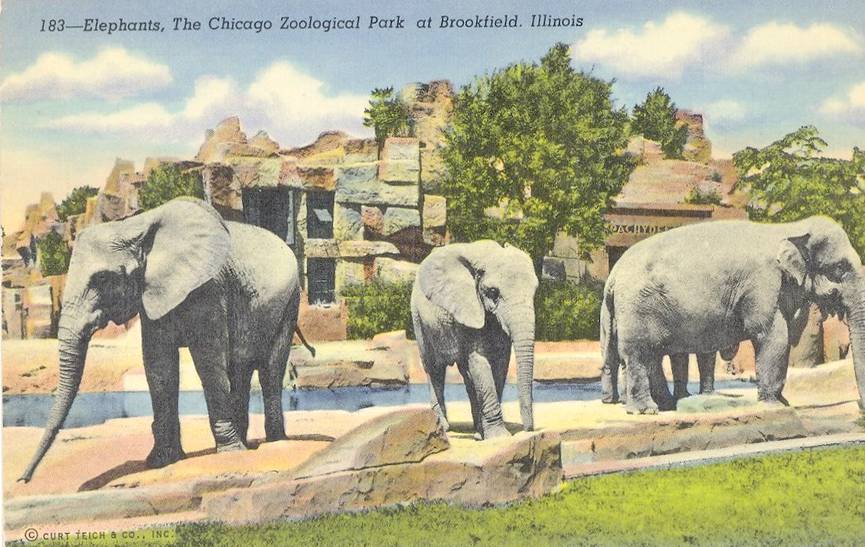 CHUCKMAN'S COLLECTION (CHICAGO POSTCARDS) VOLUME 01 POSTCARD CHICAGO