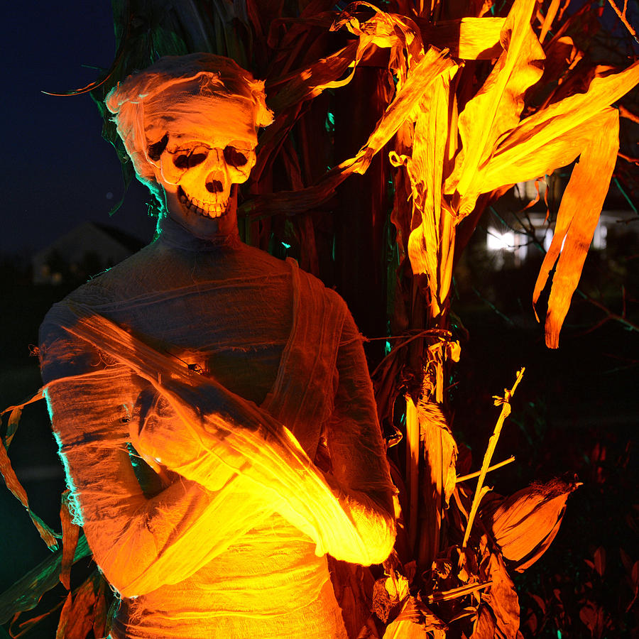 The Blog Lehigh Valley Halloween House Tour