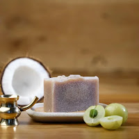 best organic shampoos in india best organic shampoos in india