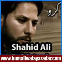 http://ishqehaider.blogspot.com/2013/11/shahid-ali-baltistani-nohay-2014.html