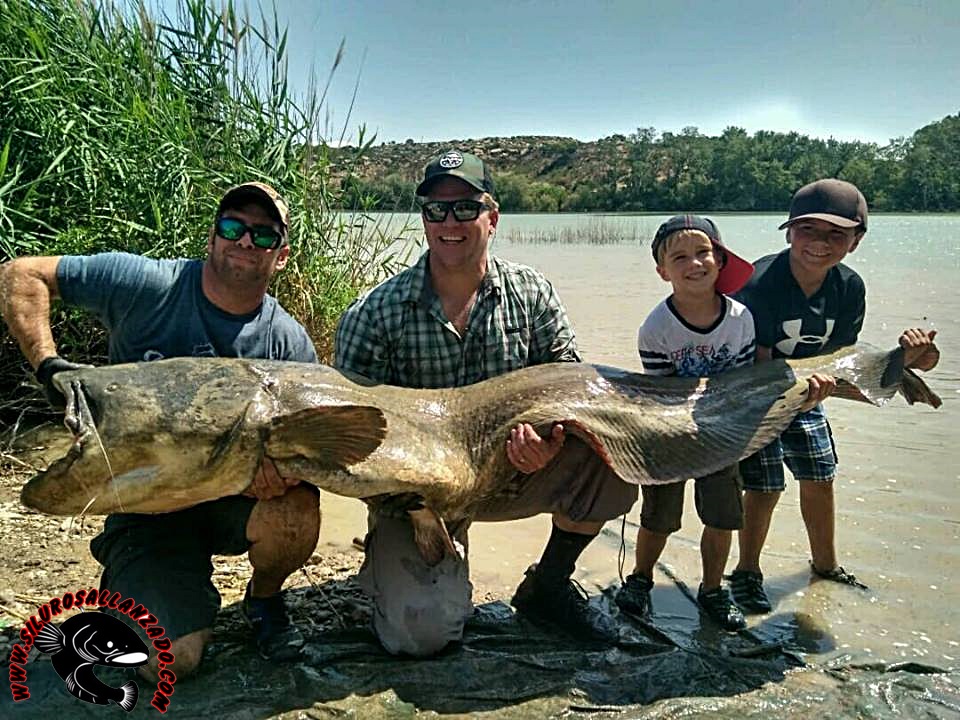 CATFISH FISHING GUIDE IN THE RIVER EBRO, CATFISHING AND CARPFISHING