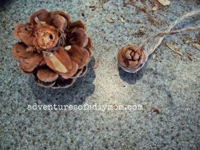 how to cut the pine cone to make a flower