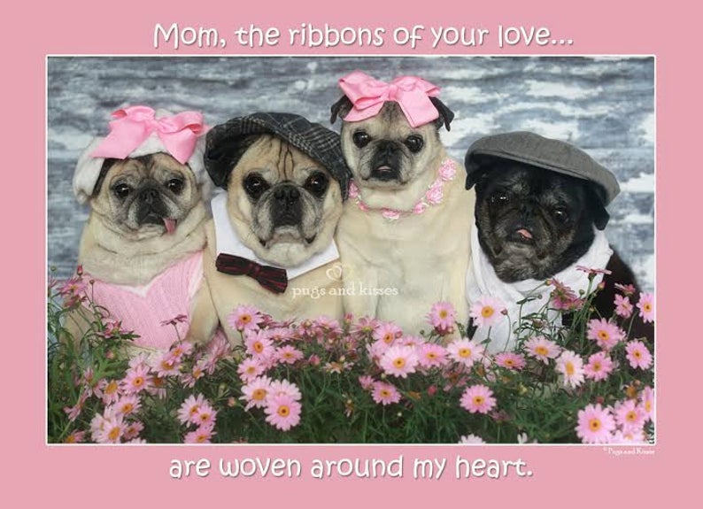 Happy Mothers Day Pug 2025