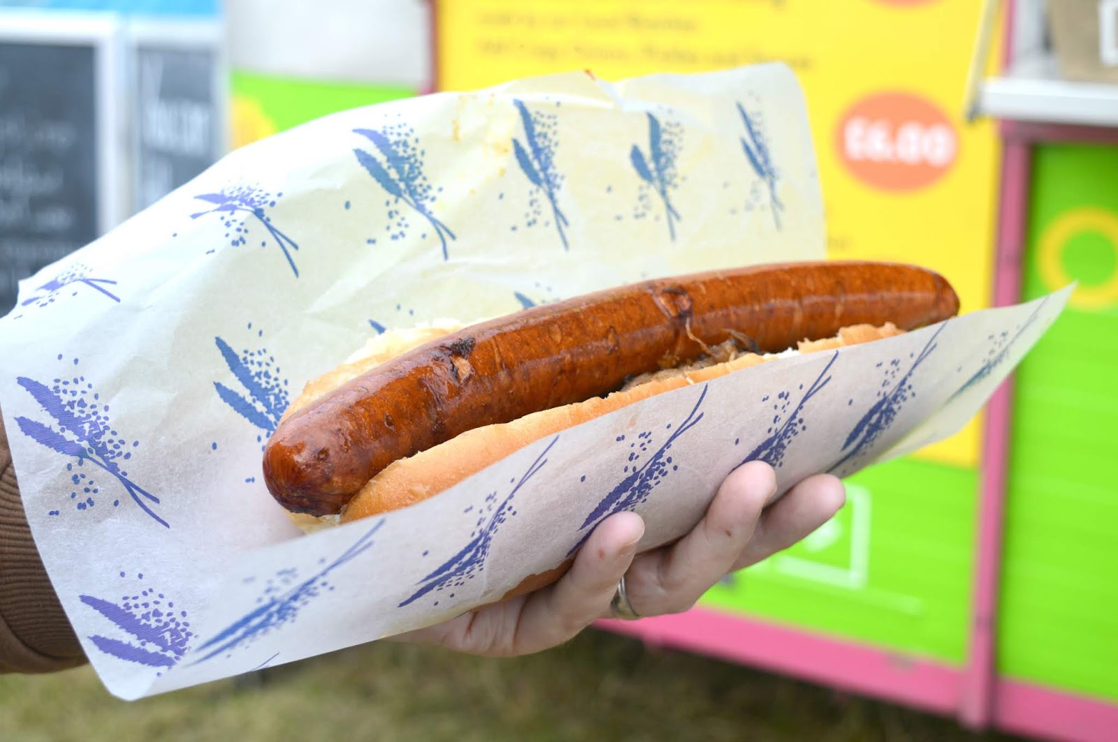  Friends Fest Newcastle  - Hot Dog