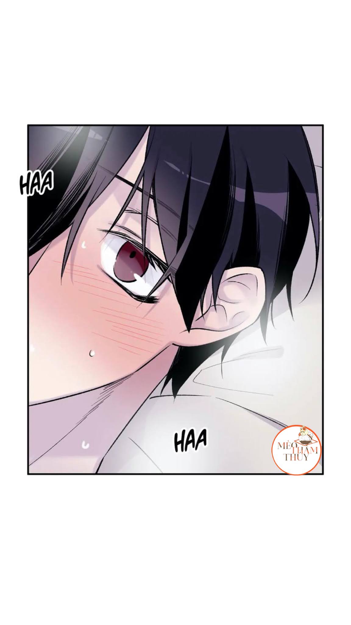 Đừng Viết Nữa, Tác Giả Thân Mến! Chapter 17 - Trang 2