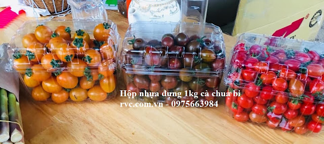 Hop nhua trong dung 1kg ca chua bi dung 1 lan