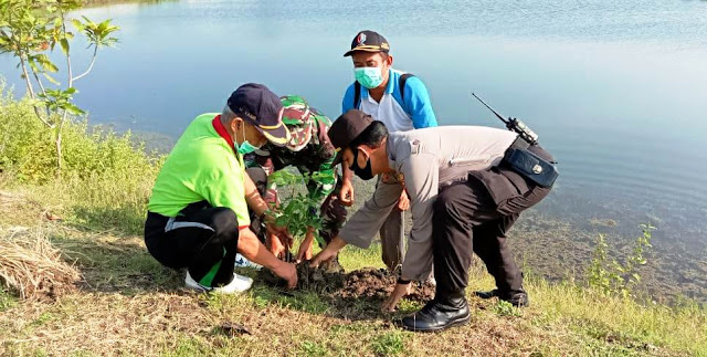 Minimalisir Dampak Pemanasan Global, Forkopimcam Sukosewu Tanam pohon Penghijauan