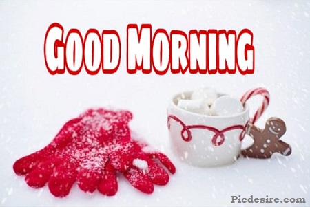 Good Morning Tea Images | Best 20 Good Morning Tea Pic Good Morning Tea Images | Best 20 Good Morning Tea Pic