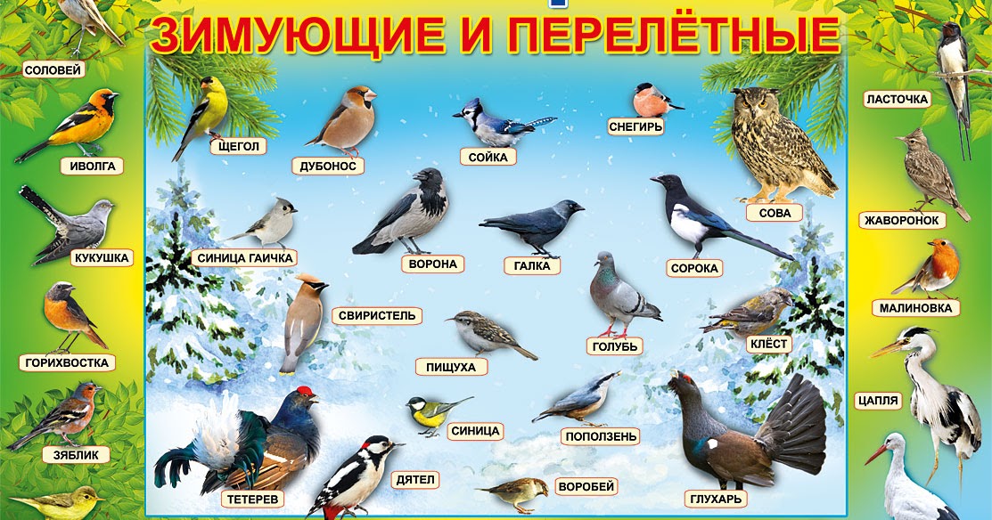 Мы забыли как вставить сюда текст.