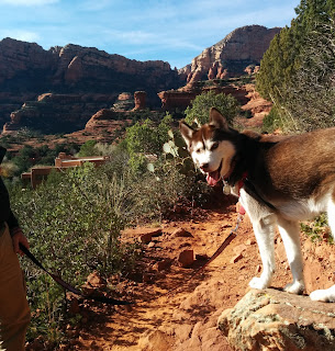 Dog Friendly travel destinations. Pet friendly, Pet travel, National parks that allow dogs, State parks that allow dogs. Travel with dogs, pets