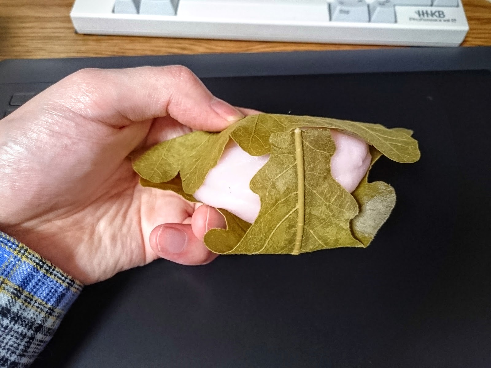 あすきん ｶｼﾜﾓｰﾁ