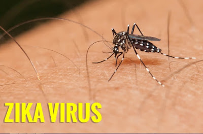 Phòng ngừa virus Zika cho bản thân và mọi người Phong-ngua-virus-Zika-cho-ban-than