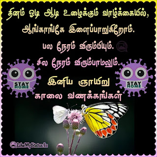 Happy Sunday wishes Tamil