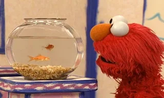 Dorothy has a question how do you take turns with a friend. Dorothy has got a friend in her bowl. Elmo watches Dorothy. Sesame Street Elmo's World Friends