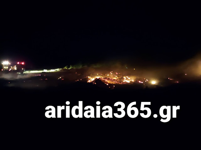 Πυρκαγιά στο Γαρέφι Αλμωπίας στην Αριδαία Πυρκαγιά στο Γαρέφι Αλμωπίας στην Αριδαία