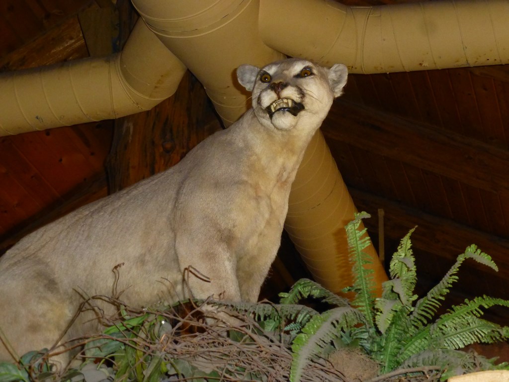 sherm363 July 19, Solvang