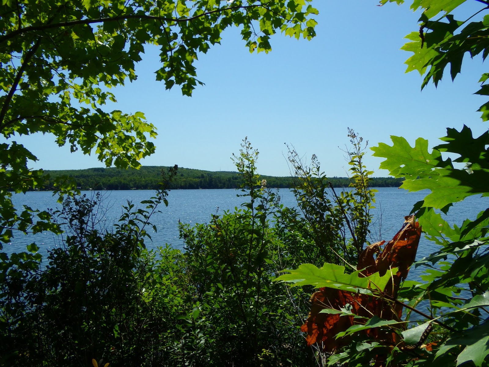 Swan Lake State Park, Swanville, Maine (return visit)