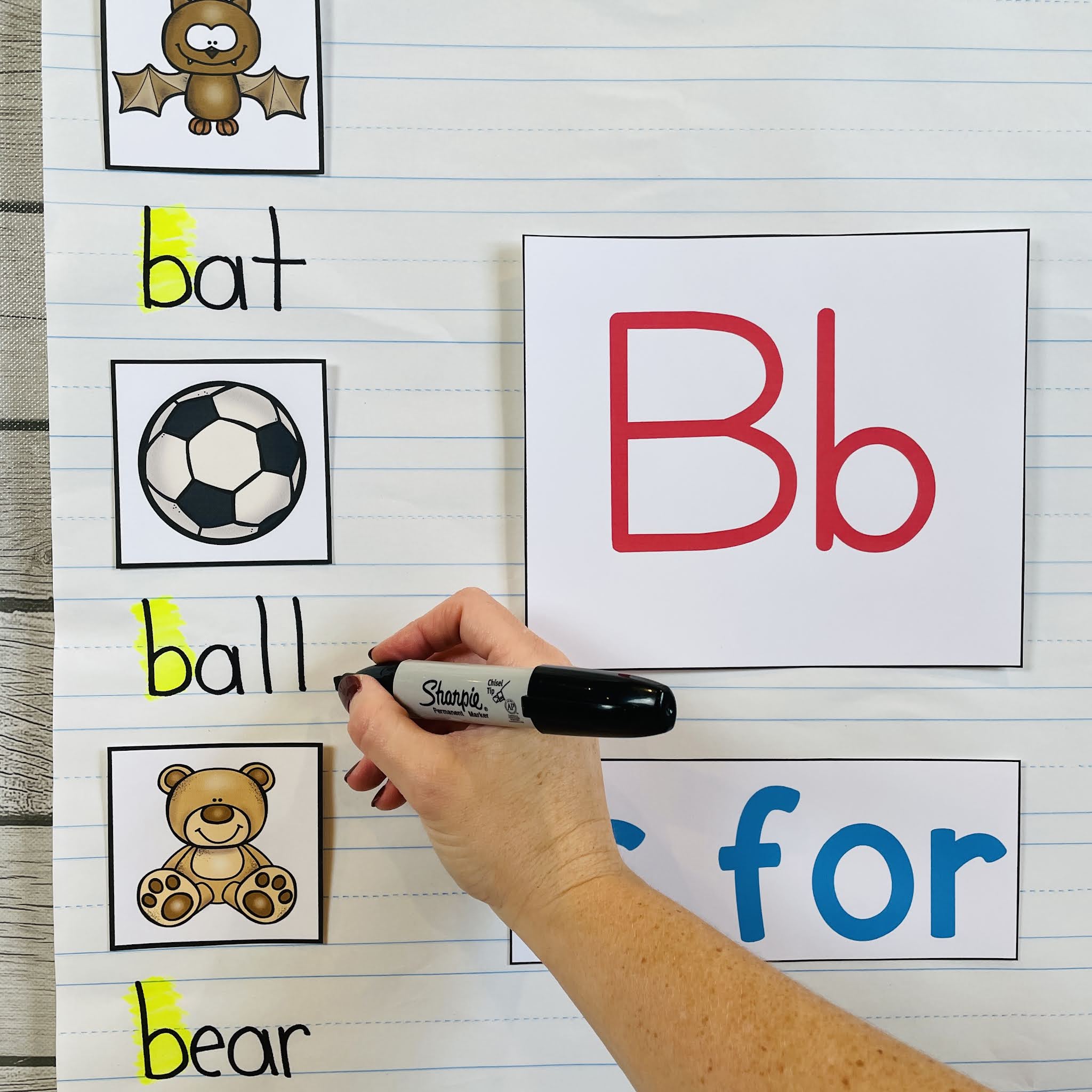 Alphabet Anchor Charts Mrs. McGinnis' Little Zizzers