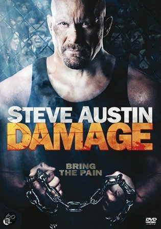 Damage 2009 BluRay 300MB Hindi Dual Audio 480p