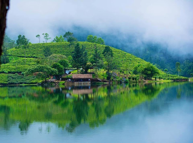 රන් සෙම්බුවක් මතු වූ - සෙම්බුවත්ත 🌲🏺🌱 (Sembuwatta Lake 🍀) - Your Choice Way