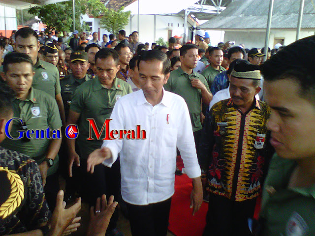 Jokowi  Meminta Petani  Mesuji Jual Produk Setelah Jadi Beras