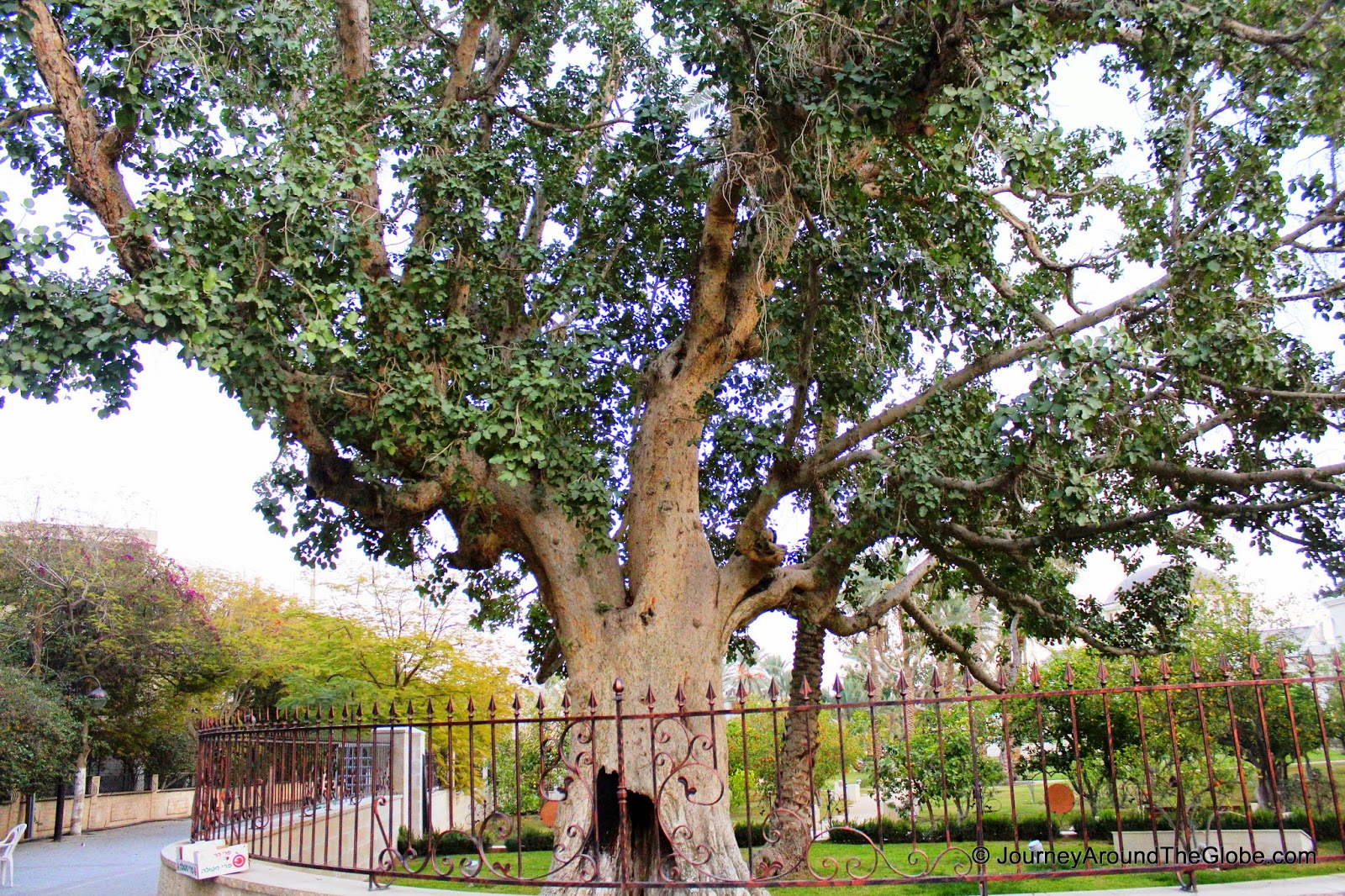 Scripture for Today April 2015