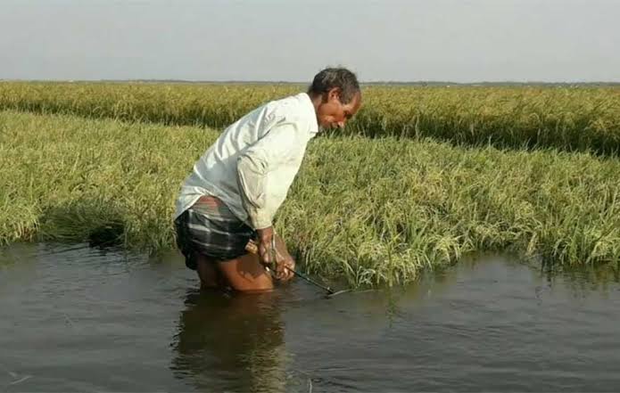 ભારે વરસાદને કારણે ખેડૂતોને થયેલા નુકસાનને લઈને ડે.સીએમ નીતિન પટેલે કરી મોટી જાહેરાત