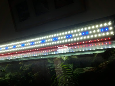 120cm long LED paludarium light fixture