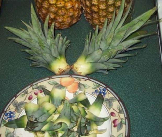 ananas i hipertenzija)