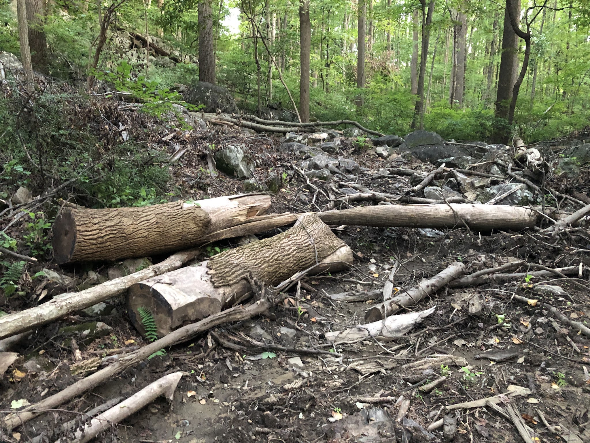 Support Roaring Rock Park Hurricane Ida's impact on the June 2021